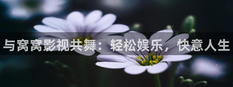 极速高清影院：与窝窝影视共舞：轻松娱乐，快意人生