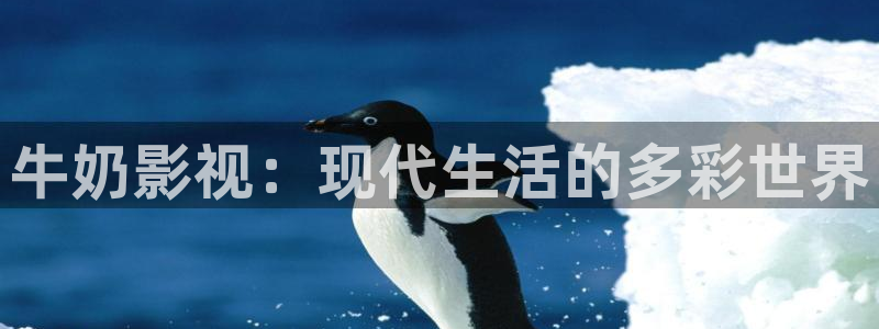 极速影视网