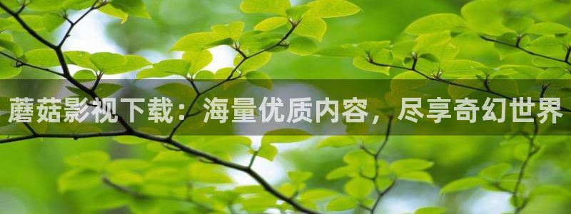 在线极速影院
