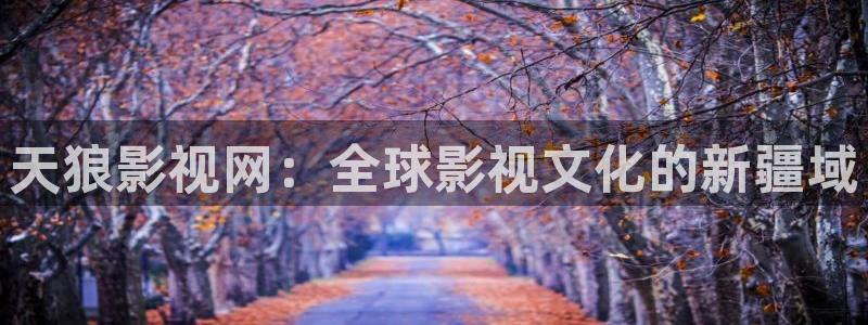 极速影视