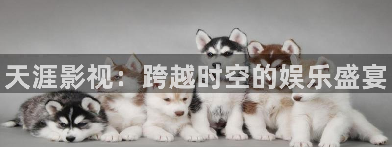 极速影院免费高清电影