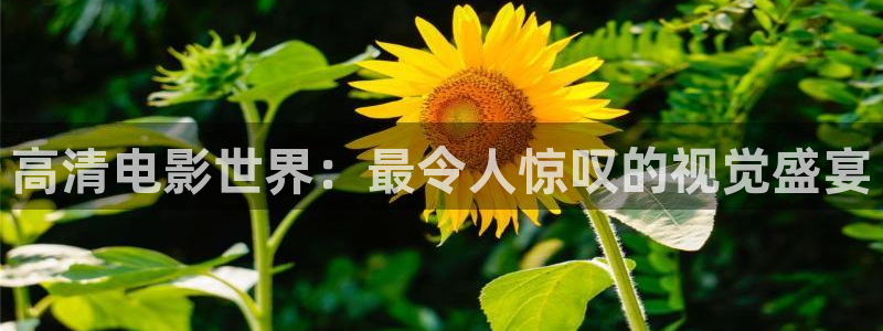 在线极速影院