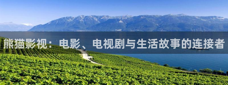 大秦赋极速影院：熊猫影视：电影、电视剧与生活故事的连接者